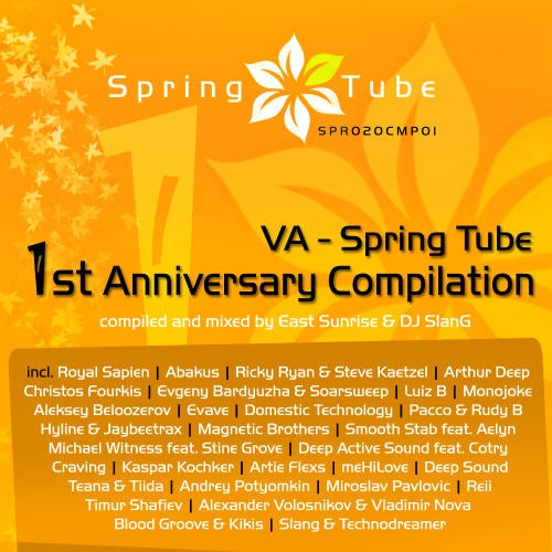 Cover for Spring Tube - 1st Anniversary Compilation - Part 2 - DJ SlanG - 2010