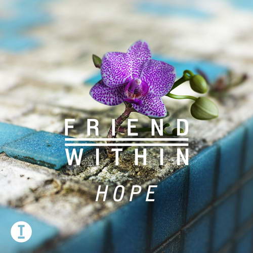 Cover for Friend Within - Hope - 2021
