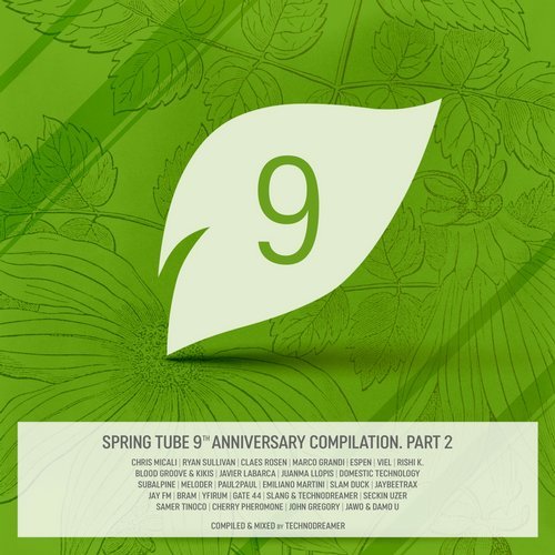 Cover for Spring Tube - 9th Anniversary Compilation - Part 2 - Technodreamer - 2018